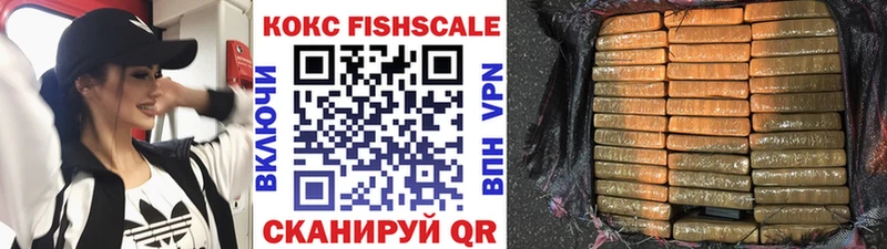 COCAIN Эквадор купить закладку Каменск-Шахтинский