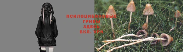 MESCALINE Ельня