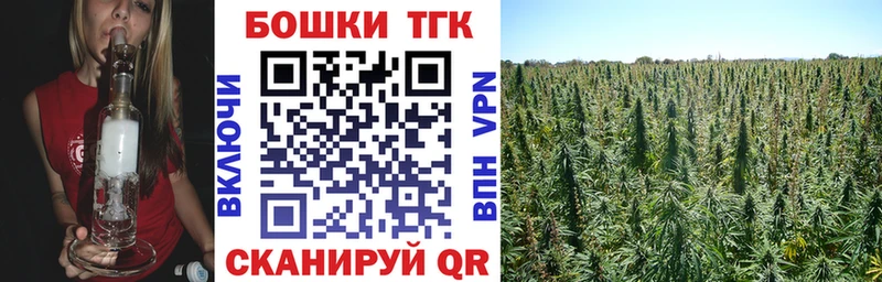 Бошки Шишки планчик  где найти   Каменск-Шахтинский 